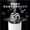 New Rose humidifier USB car humidifier and purification mini home office desk air humidifier Application Scenario